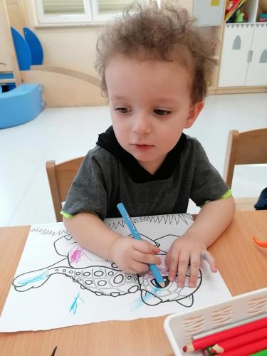 425004138 377604385022822 3271676307509212086 n