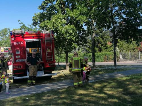 443843264 424723473644246 817181766743258670 n