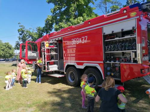 443930183 424722833644310 4093318599002781954 n