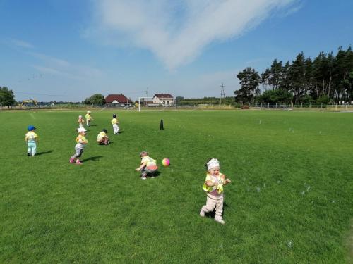 445620280 429403843176209 328514211821598996 n