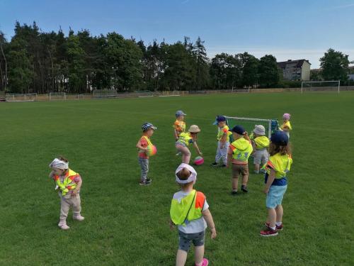 445668176 429404379842822 5628325278411139525 n