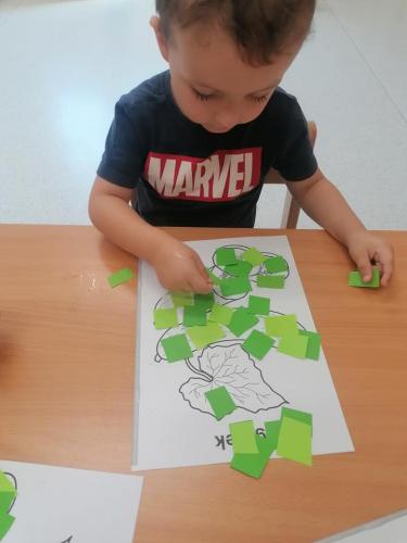 455073126 479581884825071 5775432425991534345 n