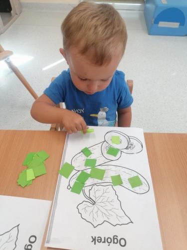 455244592 479582528158340 5129117531532934532 n