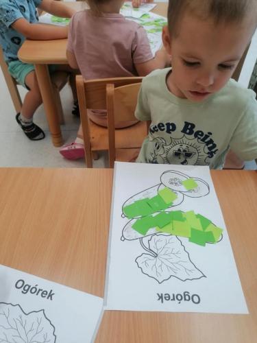 455247237 479581851491741 7325727195086919303 n