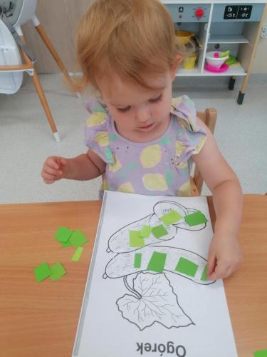 455260086 479582581491668 7061027131828405030 n