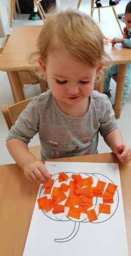 465120062 535352759247983 2225033084945684494 n