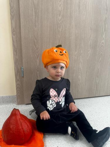 465120139 535351442581448 2655977286984435911 n