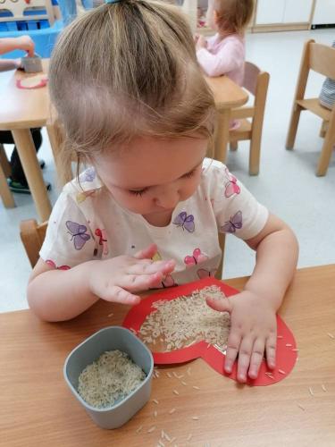 479983132 608395378610387 9088880807470162449 n