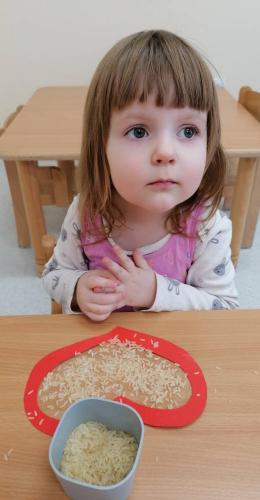 480218135 608395465277045 6720727809170794373 n