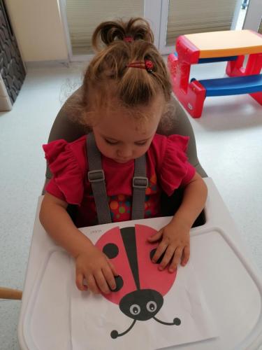 548514544 771063679010222 65669962770151702 n