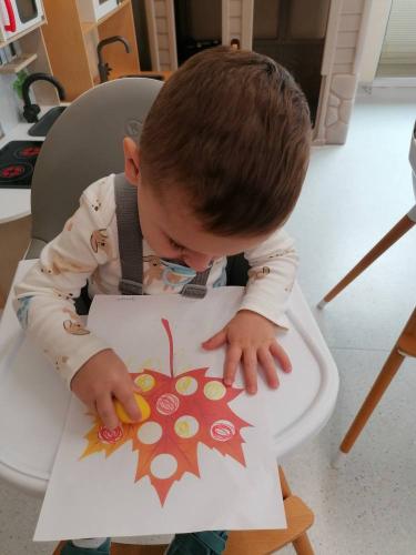 553943861 778411518275438 3262458416644331996 n