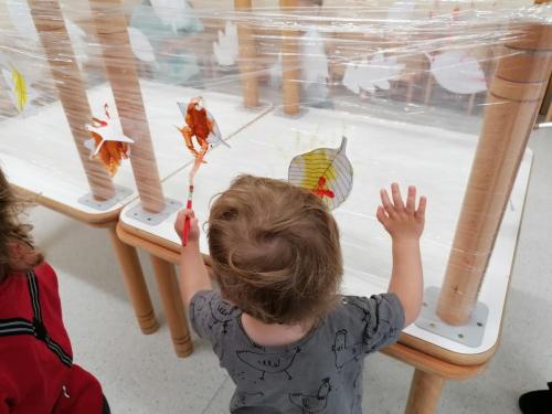 568725078 804113665705223 5526781466688334602 n