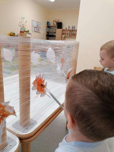 571151829 804113875705202 3646905520436971249 n